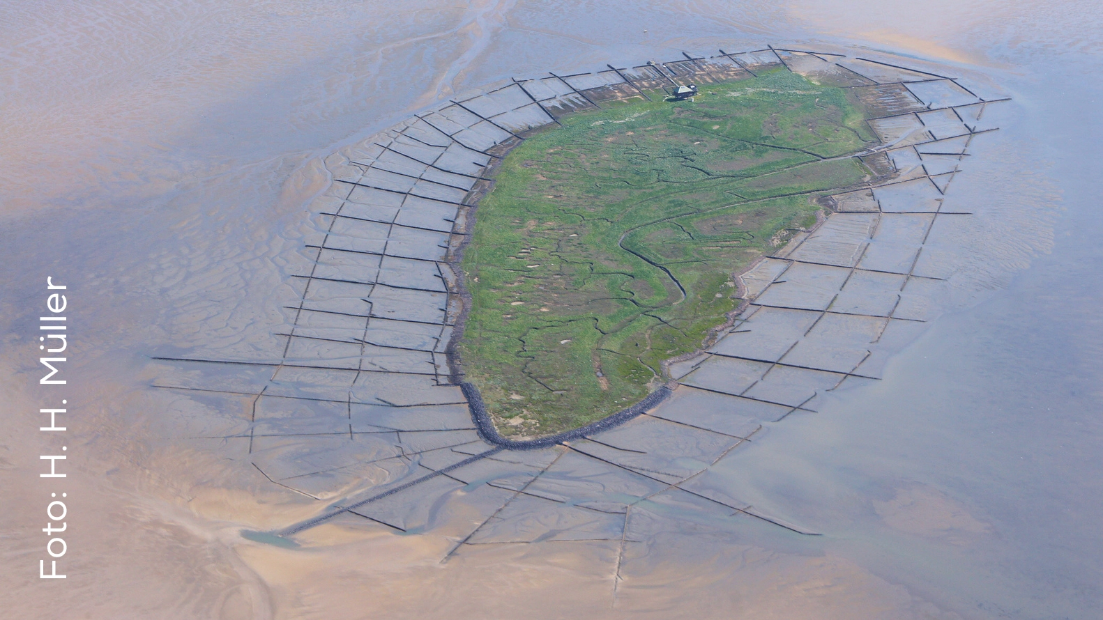 Lahnung am Rand der Hallig