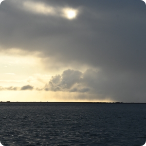 20230327_Einzug_Vogelwartin (2)