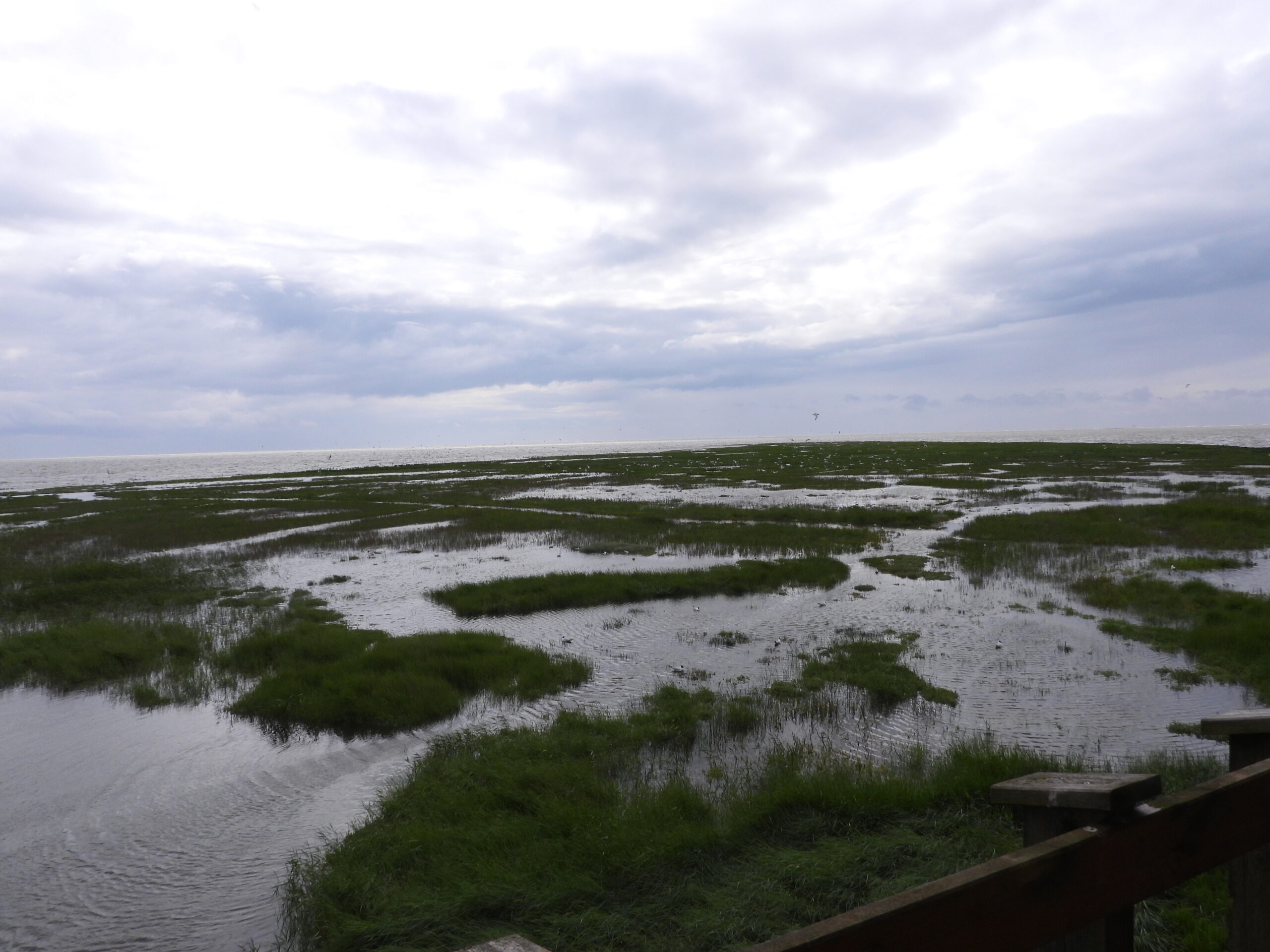 Hochwasser_2