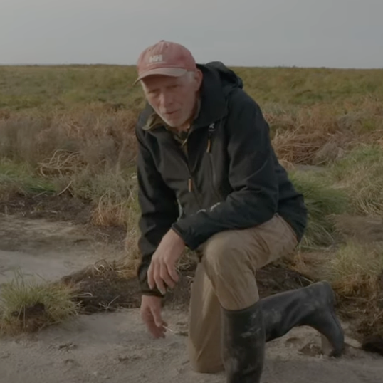 Peggellogger_Norderoog