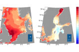 Wärmster Sommer in der Nordsee seit Messbeginn 