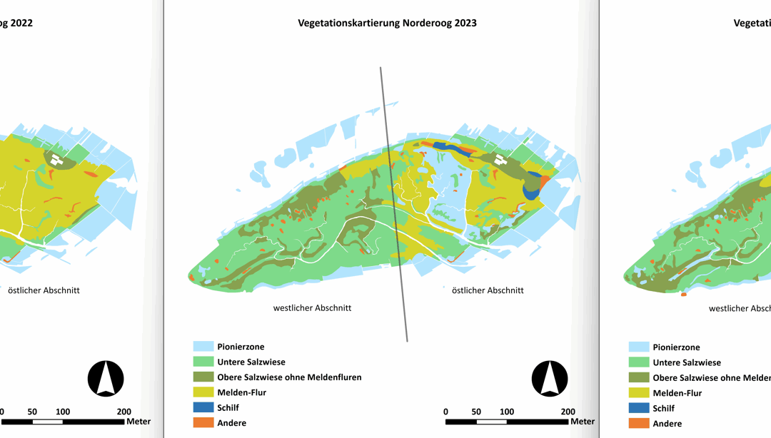 Vegetationsentwicklung auf der Klimahallig