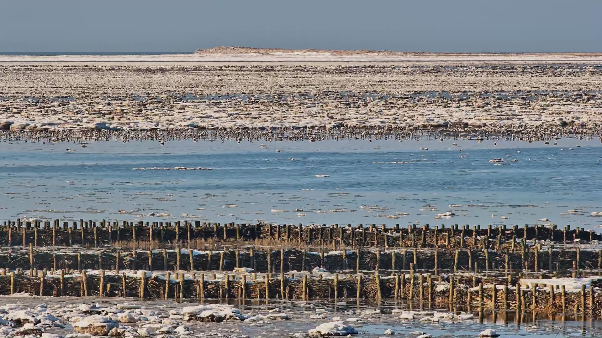 CG6cxNGqz3RQZ6yK_IPdome_CG6cxNGqz3RQZ6yK_20260218142052_13109361